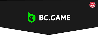 استعراض شامل لموقع BC Game بيتك المفضل للعب المراهنات